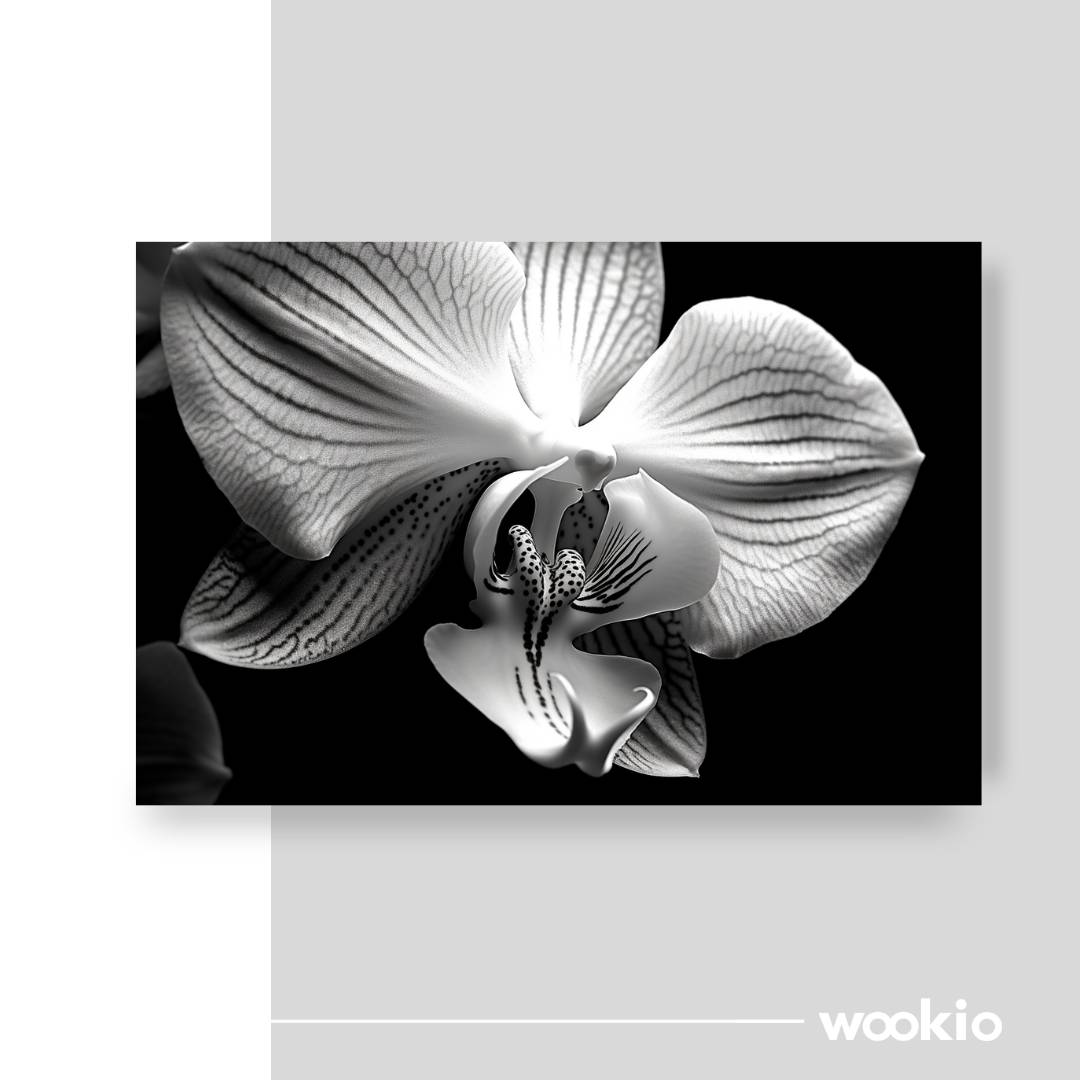 Wookio-Premium-Wall-Art-and-Home-Decor-Canvas-Print-wookio.com7_-56-1.jpg Wookio-Premium-Wall-Art-and-Home-Decor-Canvas-Print-wookio.com7_-56-1.jpg