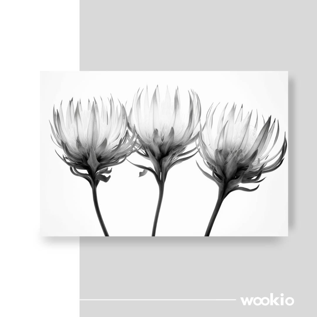 Wookio-Premium-Wall-Art-and-Home-Decor-Canvas-Print-wookio.com7_-63-1.jpg