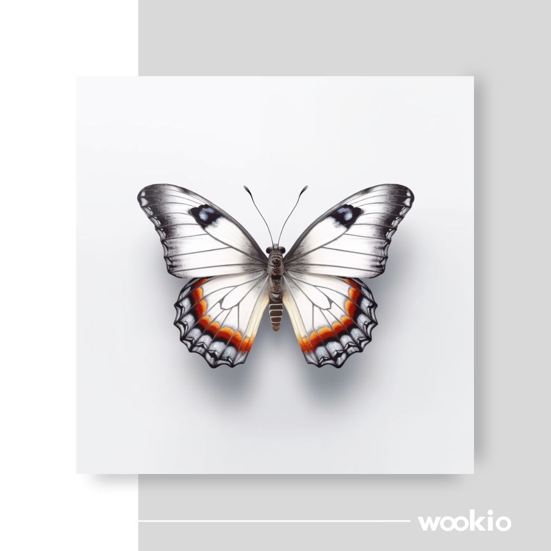 Wookio-Square-Wookio.com-Canvas-Wall-Art-Buy-Premium-quality-Print-75.jpg Wookio-Square-Wookio.com-Canvas-Wall-Art-Buy-Premium-quality-Print-75.jpg