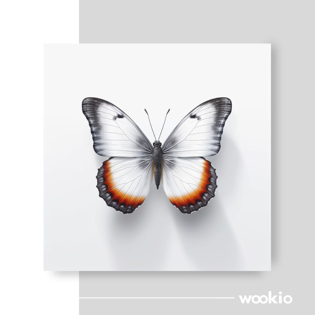Wookio-Square-Wookio.com-Canvas-Wall-Art-Buy-Premium-quality-Print-76.jpg Wookio-Square-Wookio.com-Canvas-Wall-Art-Buy-Premium-quality-Print-76.jpg